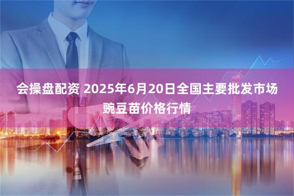 会操盘配资 2025年6月20日全国主要批发市场豌豆苗价格行情