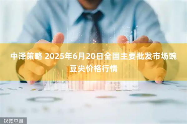 中泽策略 2025年6月20日全国主要批发市场豌豆尖价格行情
