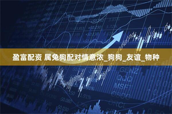 盈富配资 属兔狗配对情意浓_狗狗_友谊_物种