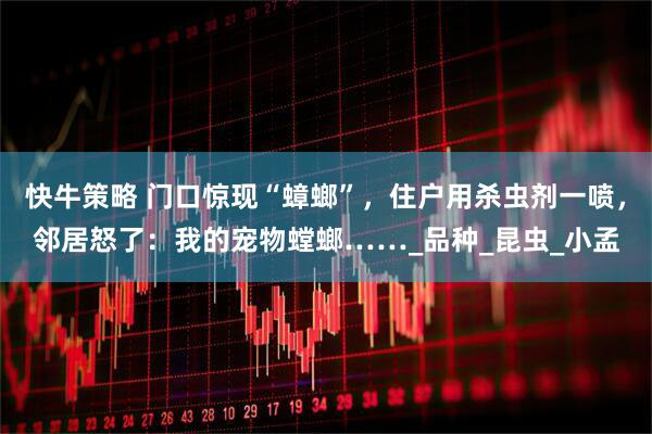 快牛策略 门口惊现“蟑螂”，住户用杀虫剂一喷，邻居怒了：我的宠物螳螂……_品种_昆虫_小孟