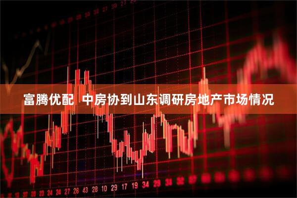 富腾优配  中房协到山东调研房地产市场情况