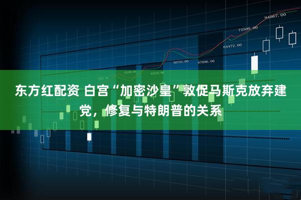 东方红配资 白宫“加密沙皇”敦促马斯克放弃建党，修复与特朗普的关系