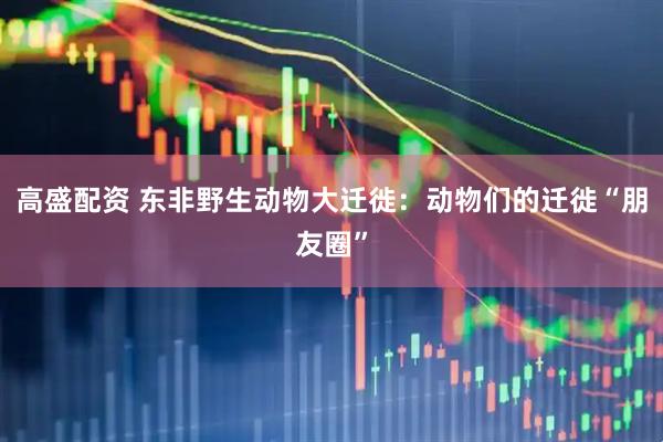 高盛配资 东非野生动物大迁徙：动物们的迁徙“朋友圈”