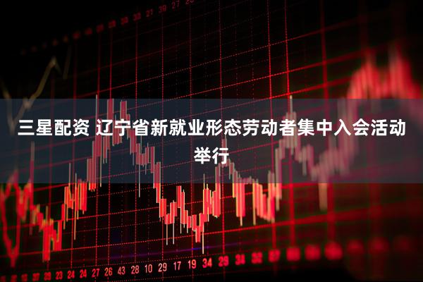 三星配资 辽宁省新就业形态劳动者集中入会活动举行