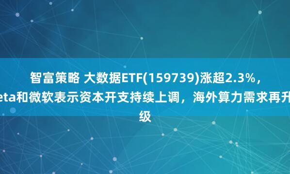 智富策略 大数据ETF(159739)涨超2.3%，Meta和微软表示资本开支持续上调，海外算力需求再升级
