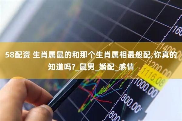 58配资 生肖属鼠的和那个生肖属相最般配,你真的知道吗?_鼠男_婚配_感情