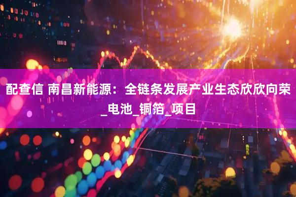 配查信 南昌新能源：全链条发展产业生态欣欣向荣_电池_铜箔_项目