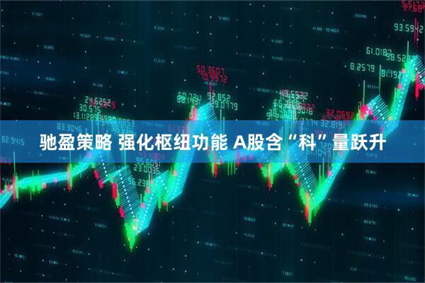 驰盈策略 强化枢纽功能 A股含“科”量跃升